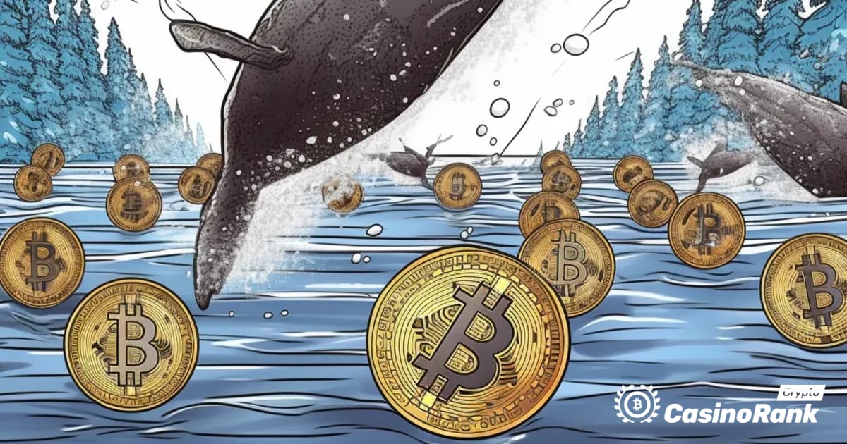 Движења на китови на пазарот на криптовалути: префрлени токени MATIC и SOL