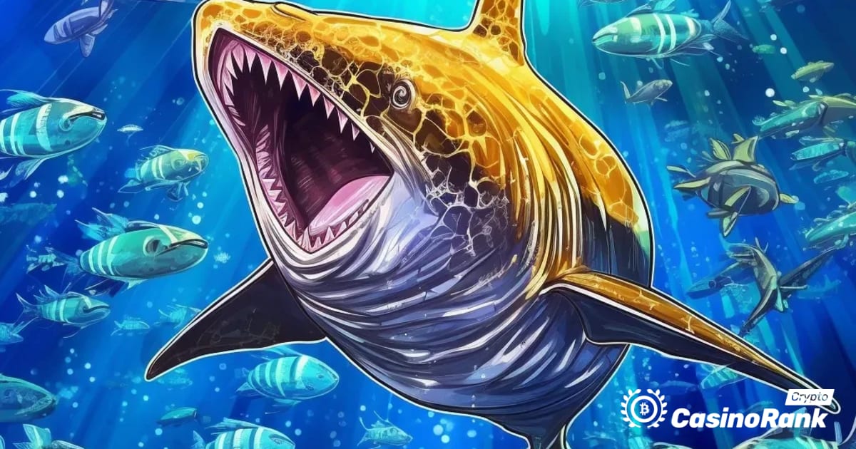 Непознатиот „паметен кит“ заработува милиони тргувајќи со спакуван биткоин и открил неактивен паричник Ethereum ICO
